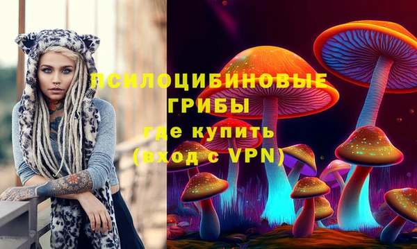 дурь Навашино