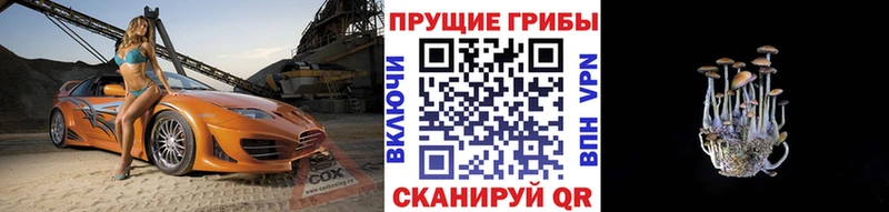Галлюциногенные грибы прущие грибы  Можга 